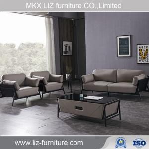 Classical Style Metal Frame Leisure Office Sofa Couch (Y373)