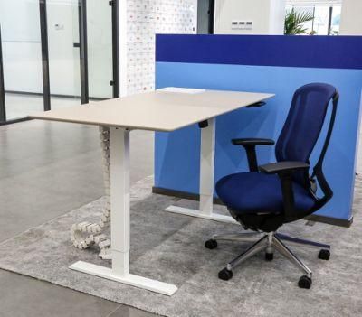 Elites Healthy Office Working Electric Height Adjustable Desks
