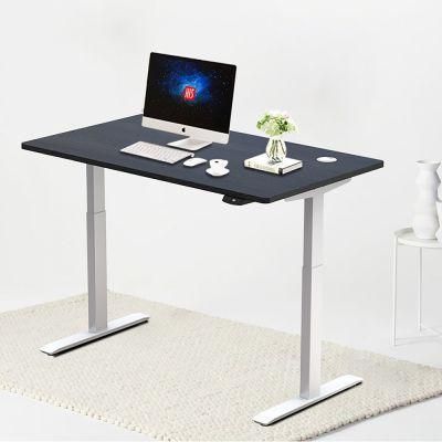 Ergonomic Office Electric Height Adjustable Sit to Stand Standing Desk