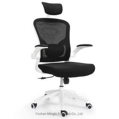 Ergonomic Luxury Swivel Office Chair Office Mesh Chair with Adjustable Lumbar Support Foshan Ahsipa Factory