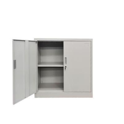 Luoyang Steel Office Furniture 2 Door Storage Metal Filing Cabinet Steel Cupboard