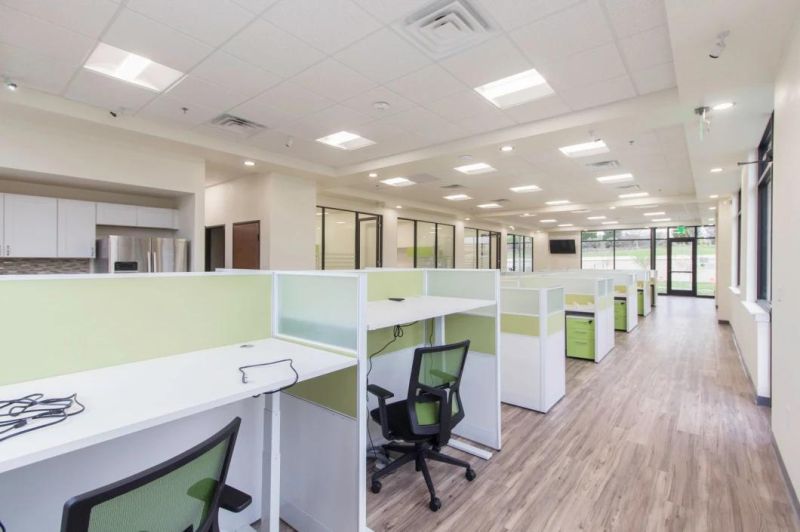 Customized Modern Green Office Cubicle in Texas
