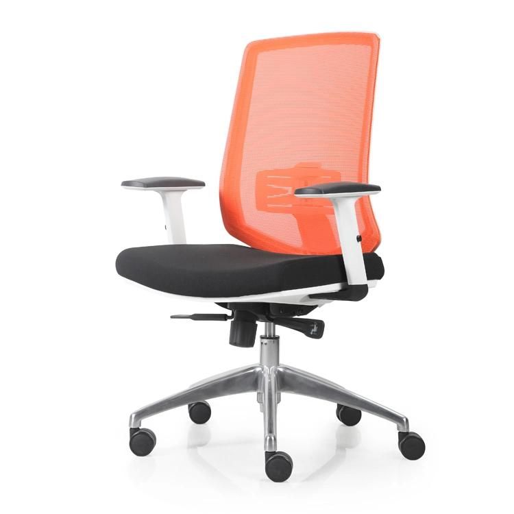 Modular Design Plastic Orthopedic Chair Computer Chair for Office Room