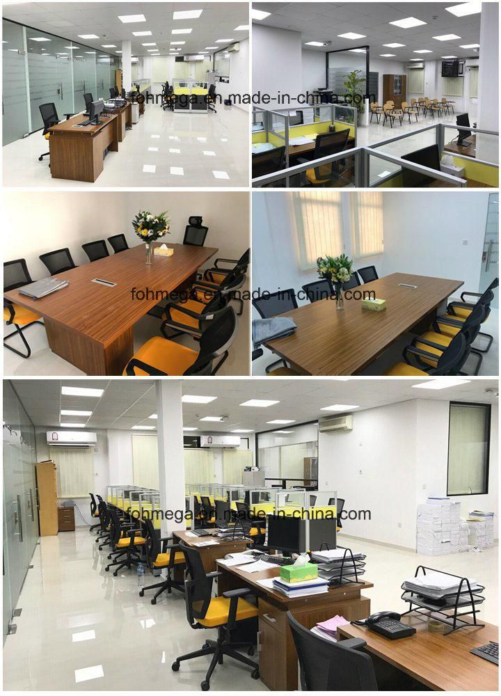 Portable Office Mesh Ergonomic Chair for Company Use (FOH-XM2D)