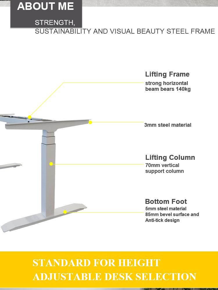Ergonomic Height Adjustable Sit Standing Electric Office Desk with Dual Motor 3 Stage up Lifting Legs
