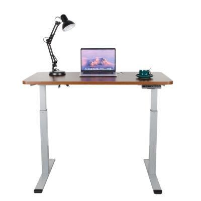 Health Height Adjustable Standing Desk for Office with Dual Motor