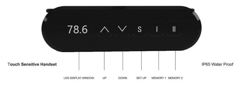 Ergonomic Sit to Stand Desk Motorized Standing Desk