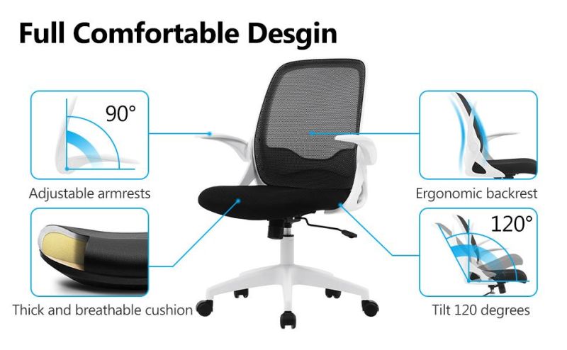 Li&Sung 10273 Ergonomic Adjustable Height Swivel Mesh Chair