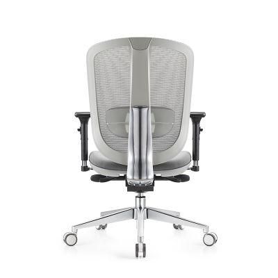 BIFMA Quality High Back Adjustable Best Ergonomic Office Chair