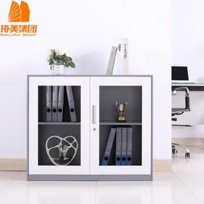 Small Glass Door File Cabinet Storage Cupboard