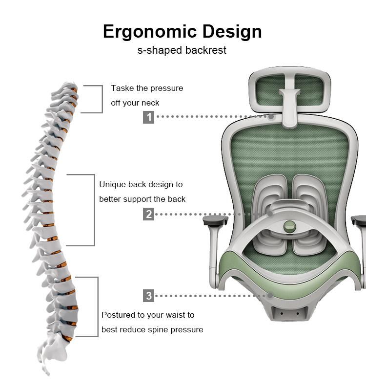 Shell Design Ergonomic Office Chair with Support