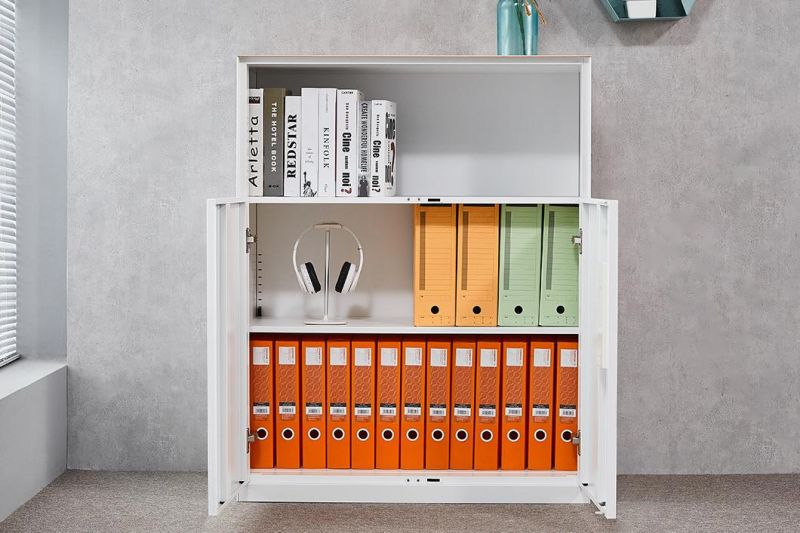Modern High Quality Office/School Storage /File Cabinet