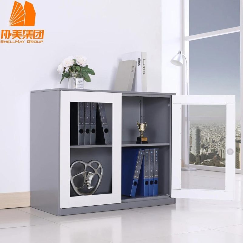 Small Glass Door File Cabinet Storage Cupboard