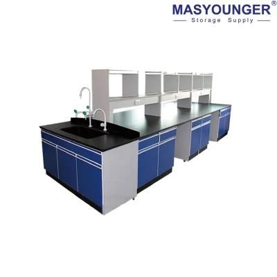 Good Price Laboratory Furniture Equipment Laboratory Work Station