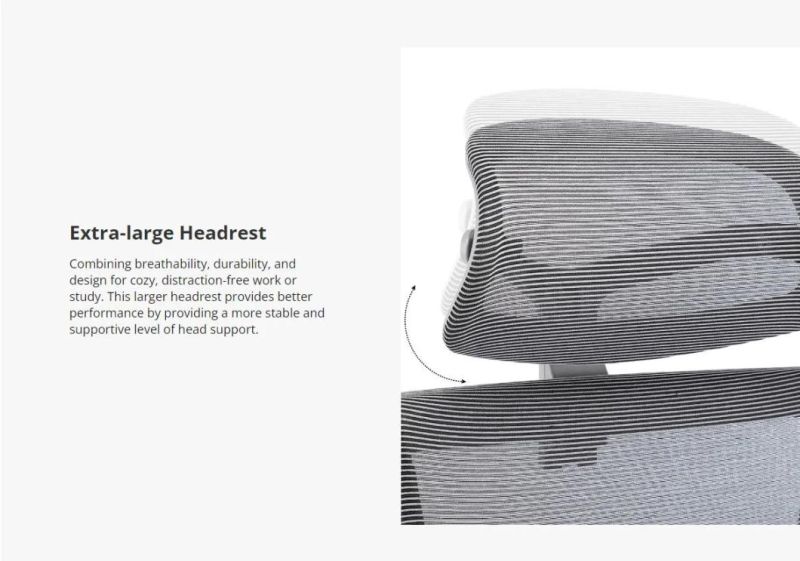 Lisung 10004 All Function Full Mesh Ergonomic Mesh Chair