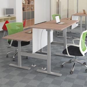 Face to Face Workstation Desk with Two Person