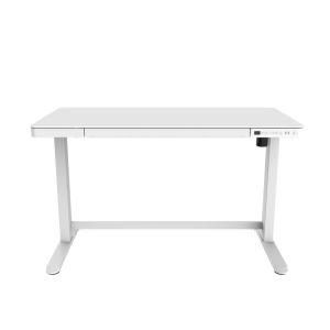 Single-Montor Electric Height Adjustable Sit-Stand White Desk for Home-Use Furniture