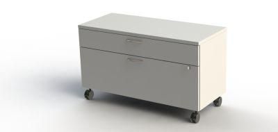 China Professional Manufacture Steel Office 2 Drawer Filing Cabinet