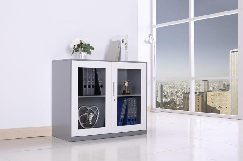 Office Furniture Metal/Steel File Cabinet Two Glasse Door