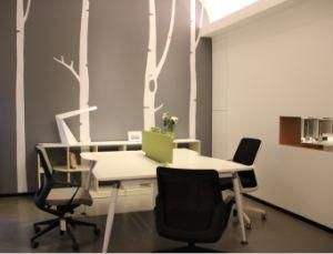 Office Furniture Type and Office Desks Specific Use Standing Desk