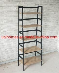 Bookcase and Bookshelf, Open Freestanding 5-Tier Storage Shelf for Display and Collection