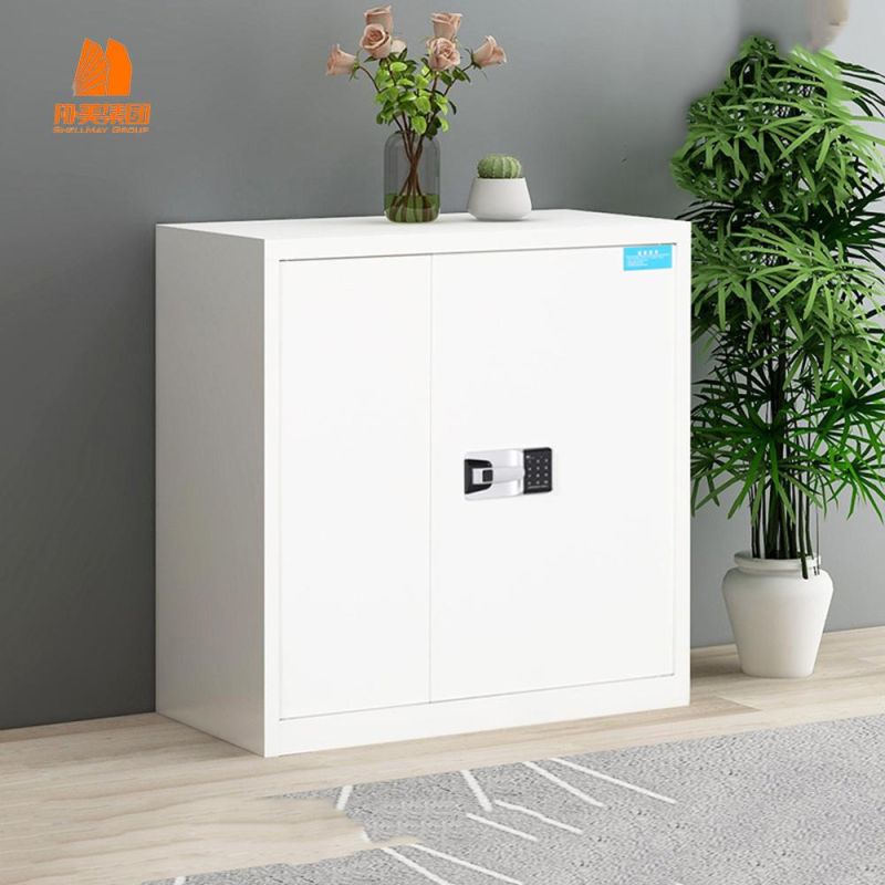 File Cabinet with Double Door Combination Lock with Internal Partition