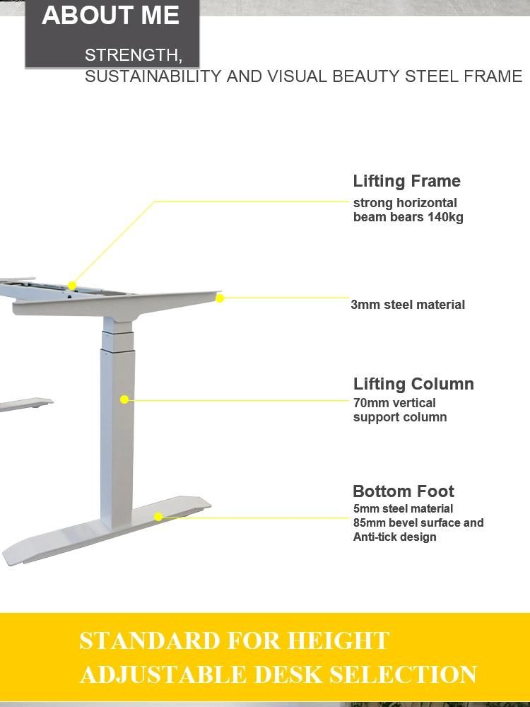 Ergonomic Automatic Height Adjustable Desk Office Workstation