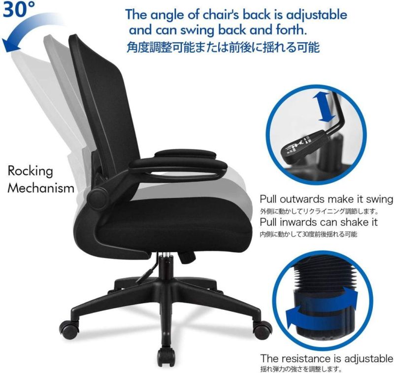 Li&Sung 10050 Ergonomic Lumbar Support Mesh Chair