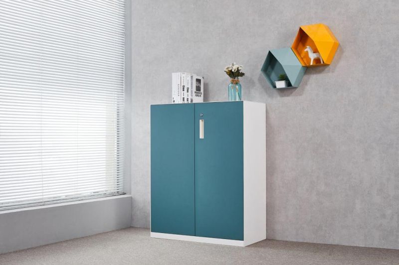 Customized Save Space Cabinet with Lock Modern Furniture