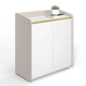 Latest Design High Quality File Storage Cabinet