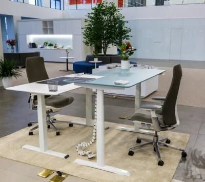 Adjustable Height Table Electric Smart Adjusting Standing Desk Adjustable Desk Office Desk