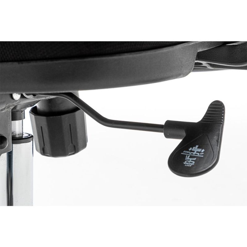 Ergonomic Office Chair with Adjustable Lumbar Support and Armrests