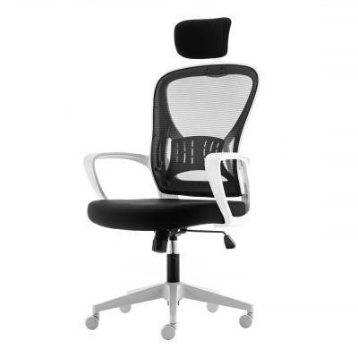 Mesh High-Back Task Ergonomic Comfortable Office Chair