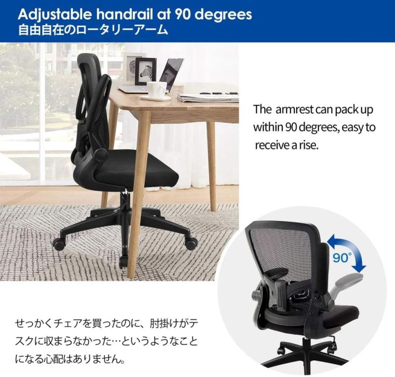 Li&Sung Ergonomic Adjustable Height Lumbar Support Swivel Mesh Chair