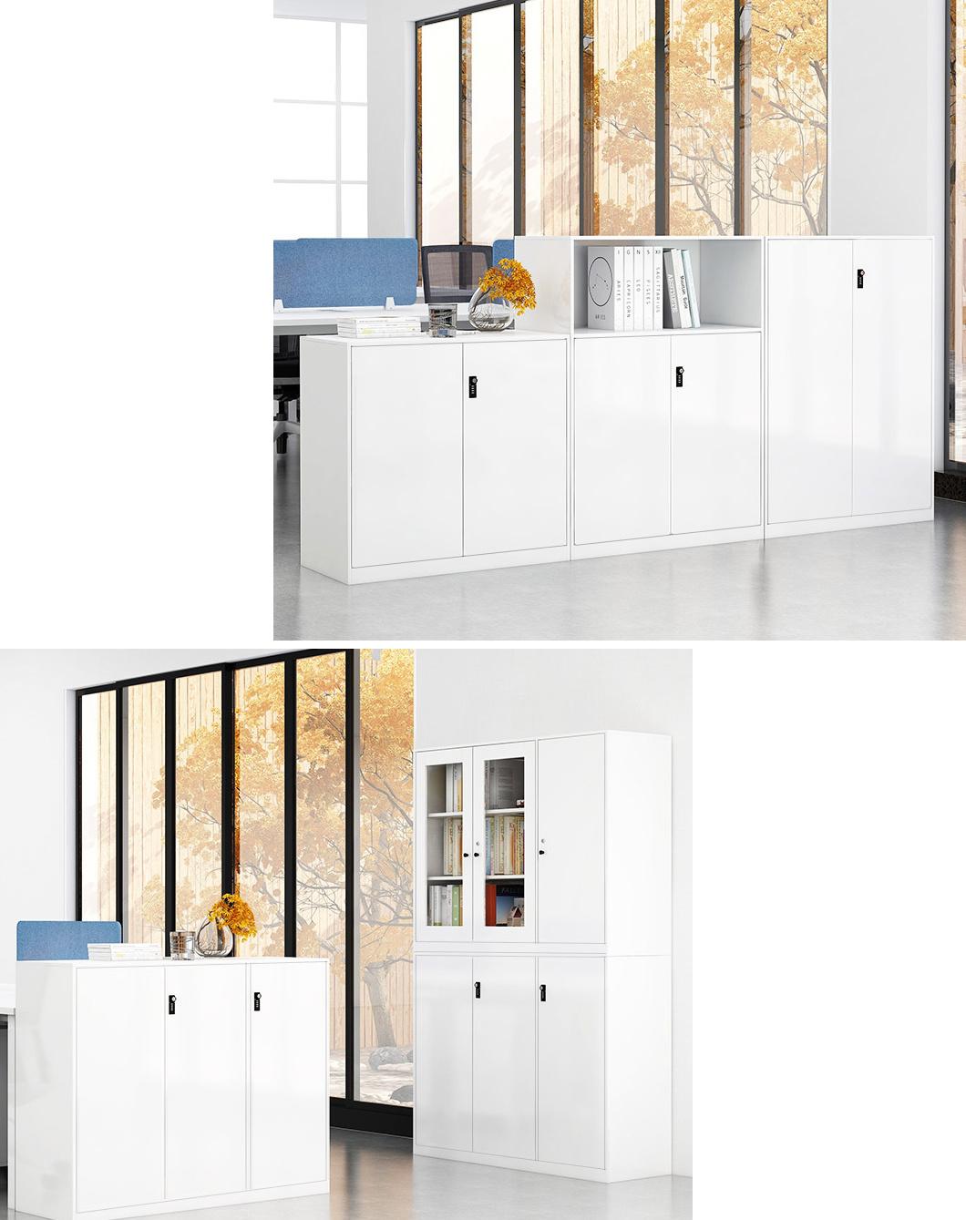 Customized Glazed Door Steel Locker Filing Cabinet