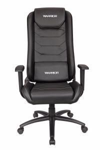 Computer Gaming Chair Ergonomic Computer Chair, Fs-RC039