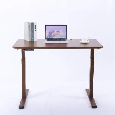 Customized Beautiful Standing Desk at Home
