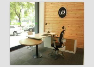 Modern Office Executive CEO Office Desk Office Furniture Front Desk