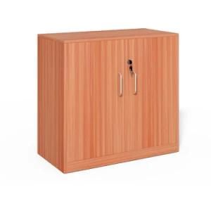 China Manufacturer Melamine Furniture Swing Doors File Cabinets