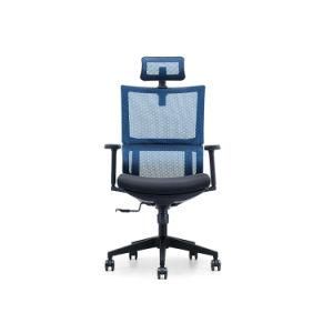 Luxury Comfortable Custom Office Room Office Ergonomic Mesh Chairs