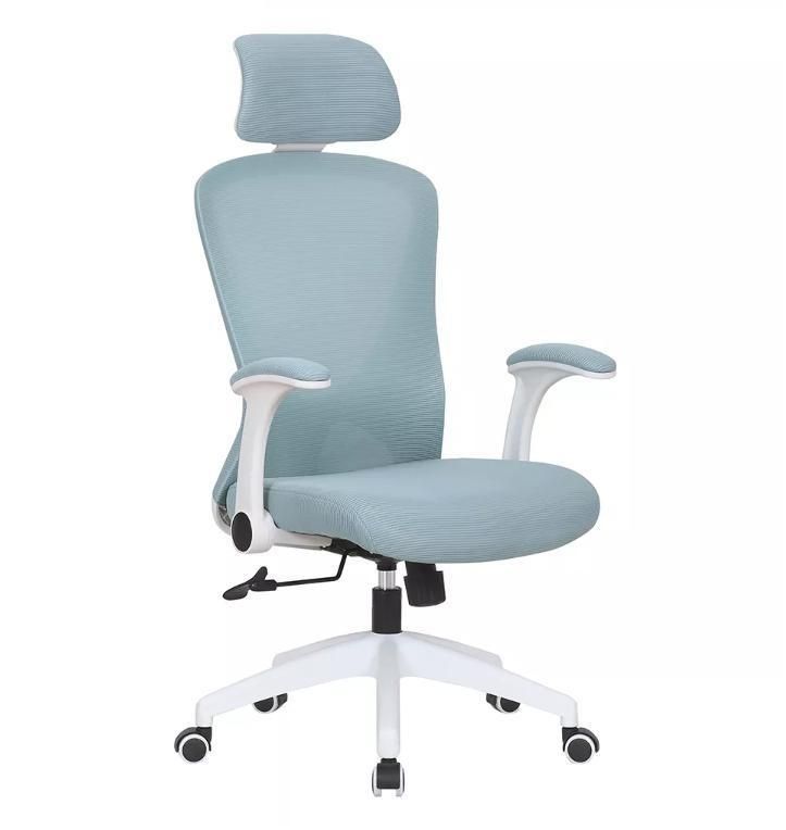 Ergonomic Mesh Swivel Revolving Manager Office Chair