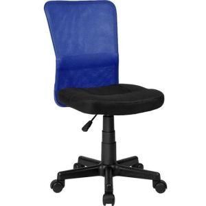 Colourful Swivel Computer Office Mesh Chair Without Armrest (LS-13BL)