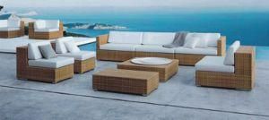 Leisure Furniture - Rattan Sofa (LY-A005)