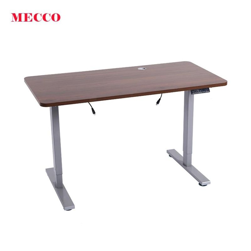 Modern Simple Design Dual Motor 3 Stage Electric Lifting Standing Desk for Computer