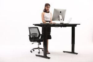 Hot Sales Modern Electric Adjustable Office Sit Stand Desk