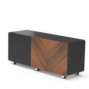 2020 Newest Design File Storage Cabinet