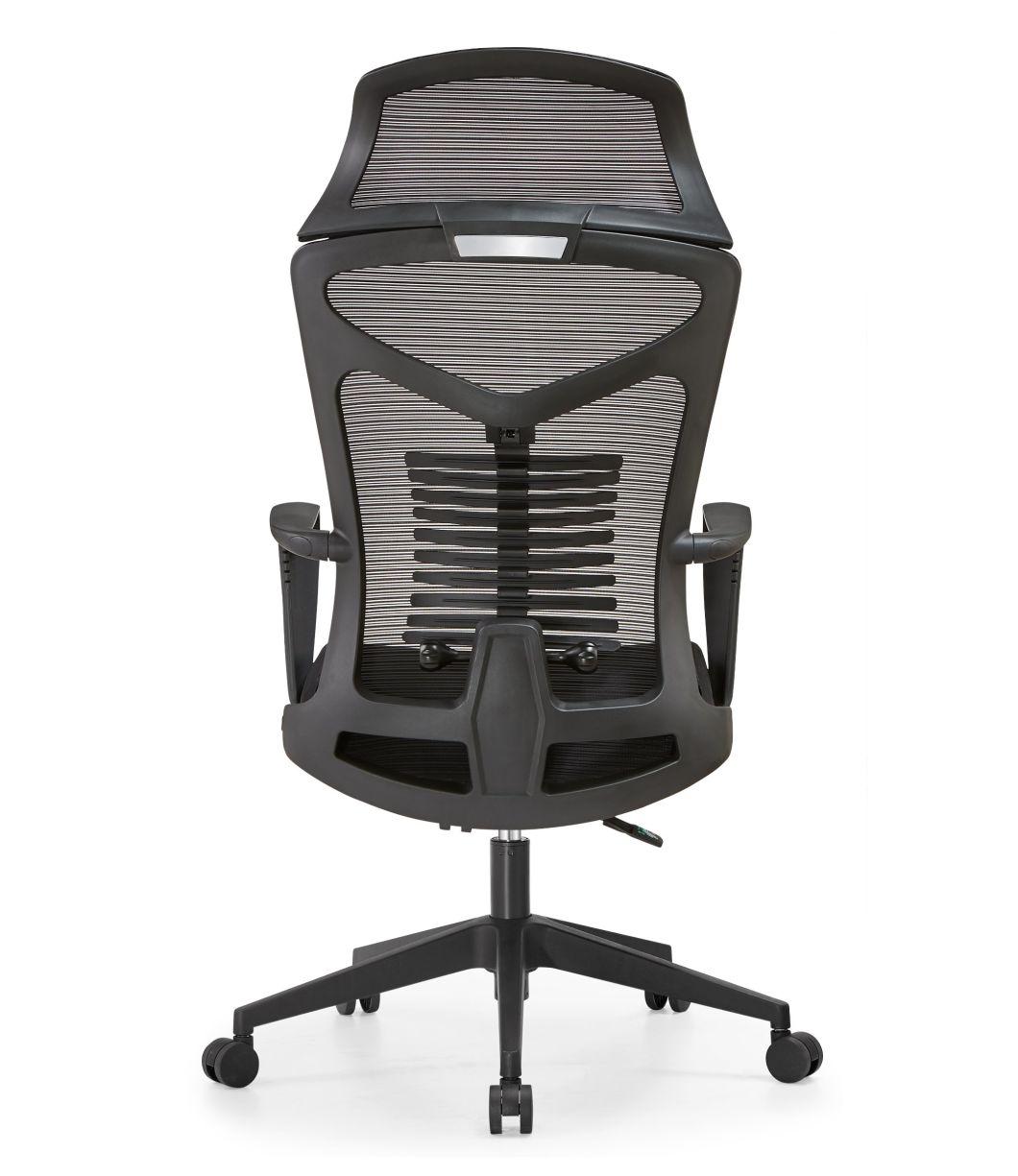 Professional High Quality New Design High Back Ergonomic Office Chair