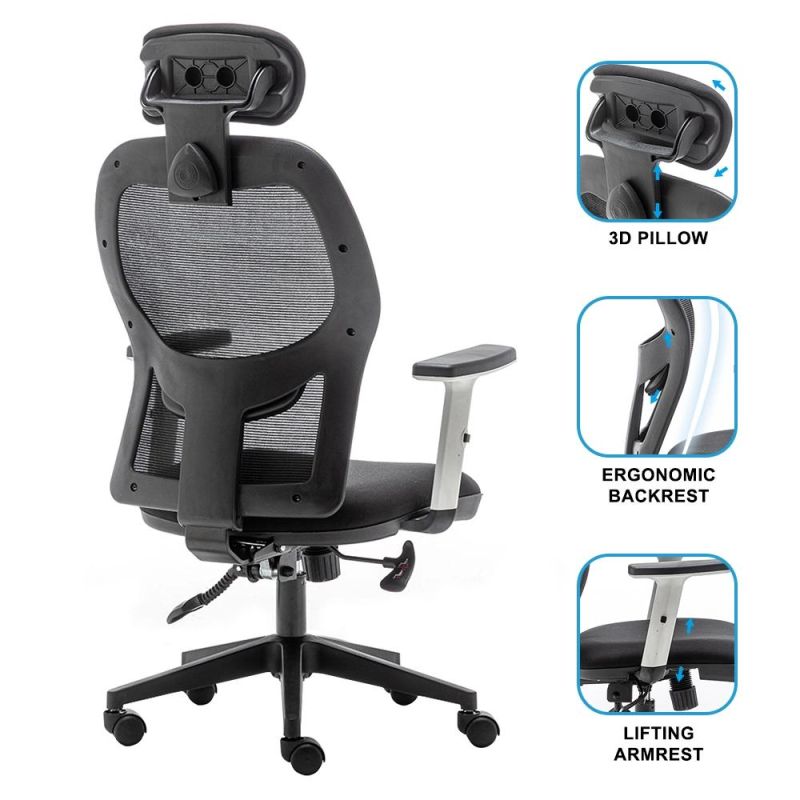 Ergonomic Home Office Chair with Adjustable Lumbar Support and Armrests, Breathable Mesh Back and Padded Seat Desk Chair