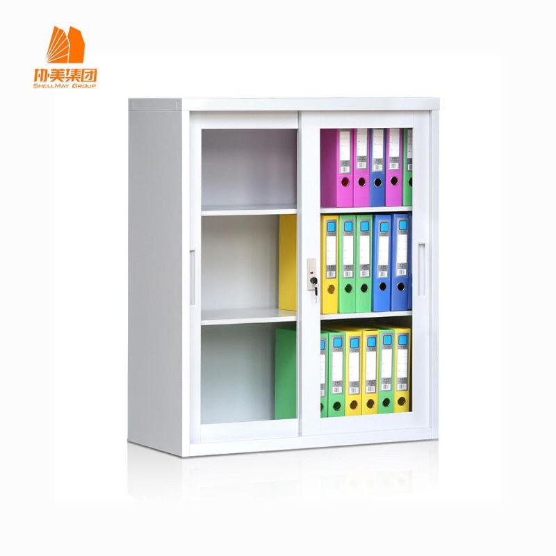 Adjustable Shelves Cupboard Glass Door Storage File Cabinet