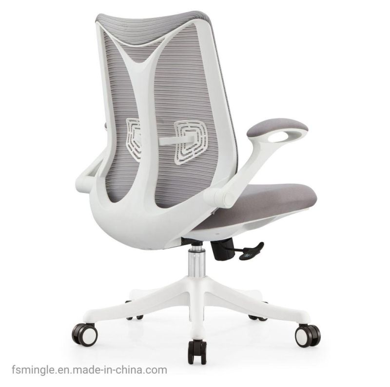 Ahsipa Furniture Ergonomic Middle Back Adjustable Swivel Mesh Office Chair